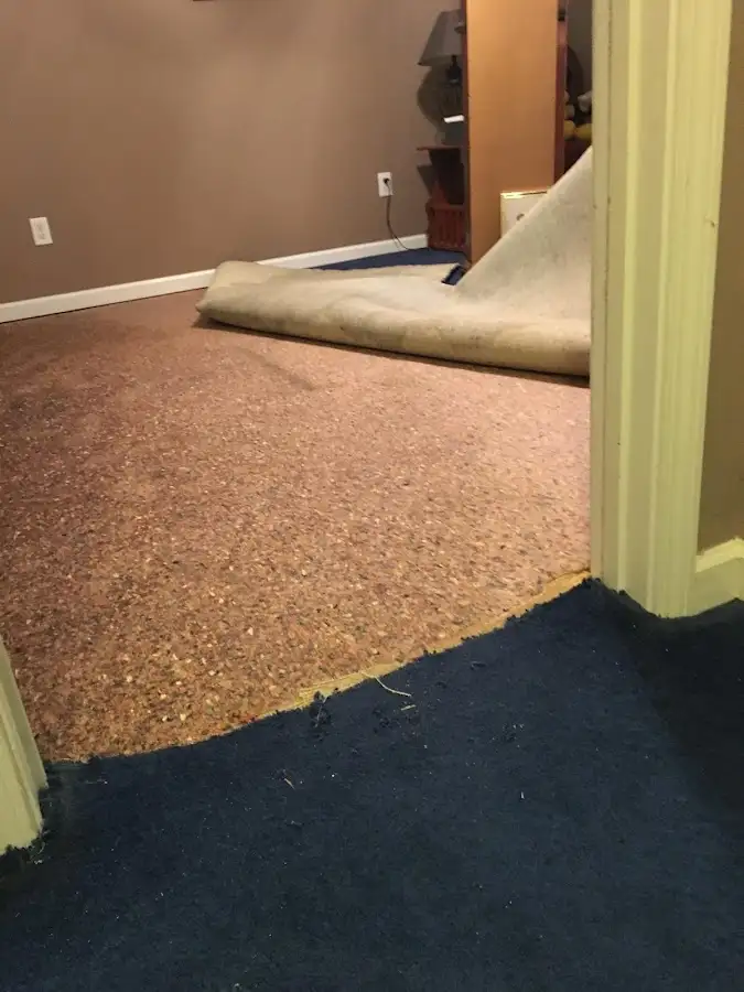 Carpet pad removal revealing water damage during Drying & Dehumidification in Kingsport