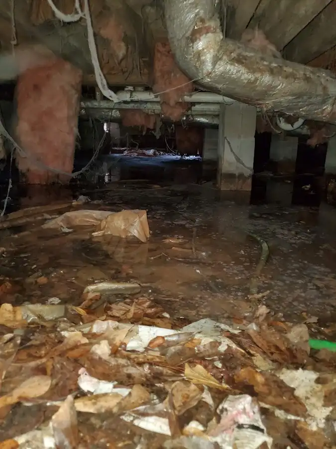 Crawl space flood assessment for Commercial Water Damage Restoration in Kingsport