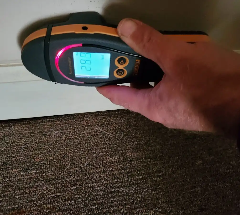 Moisture detection at baseboard during Sewage Cleanup & Sanitation in Kingsport